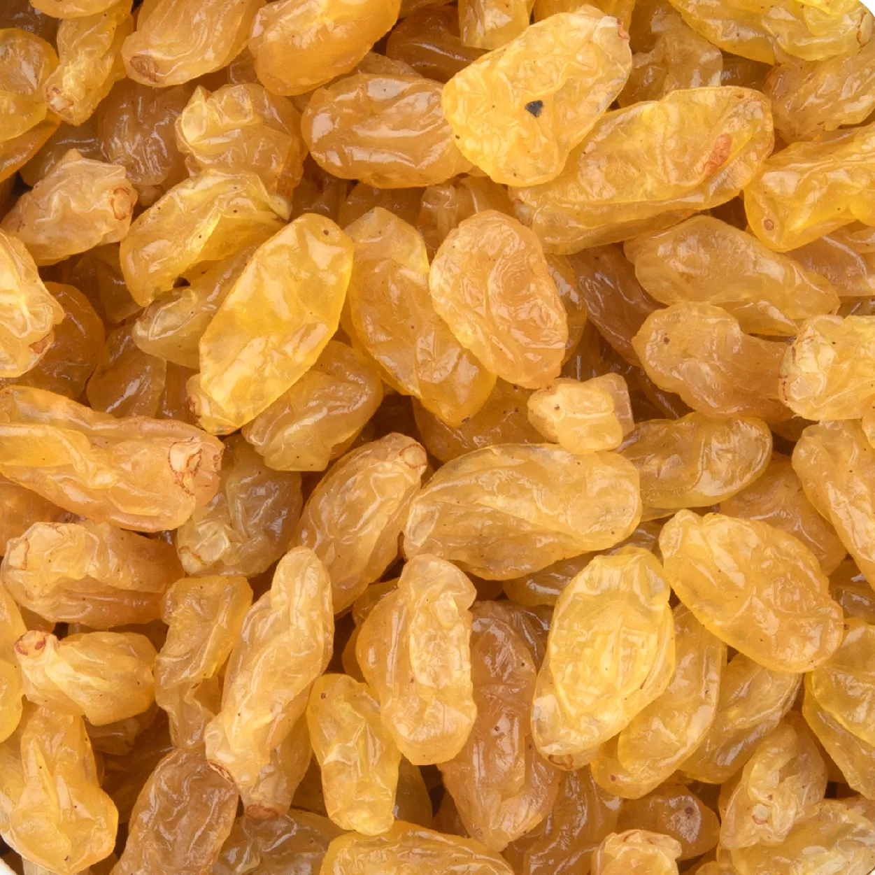 No.1 raisins supplier in india